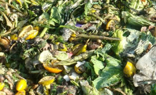 菜场橙子视频IOS