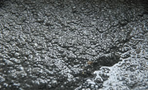 污泥橙子视频IOS